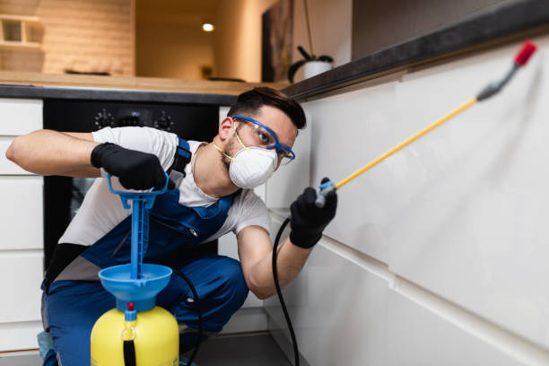 Best Pest Removal Services  in Newmanstown, PA
