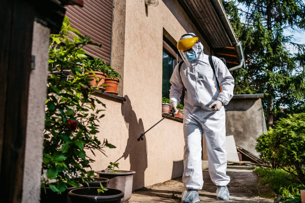 Best Local Pest Control Services  in Newmanstown, PA