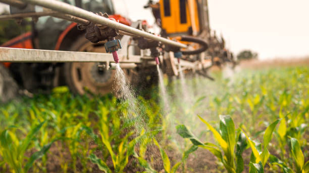 Best Pest Removal Services  in Newmanstown, PA