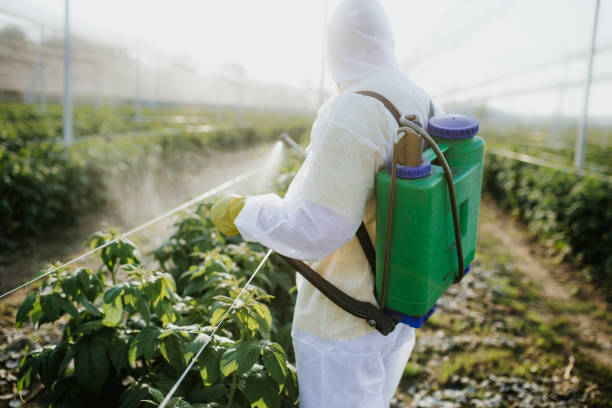 Reliable Newmanstown, PA Pest Control Solutions